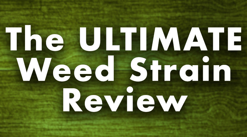 The Ultimate Strain Review