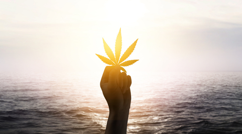 Best Travel Destinations for Stoners