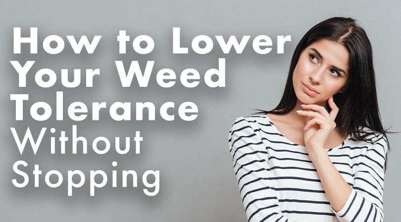 How to Lower your Weed Tolerance Without Stopping?