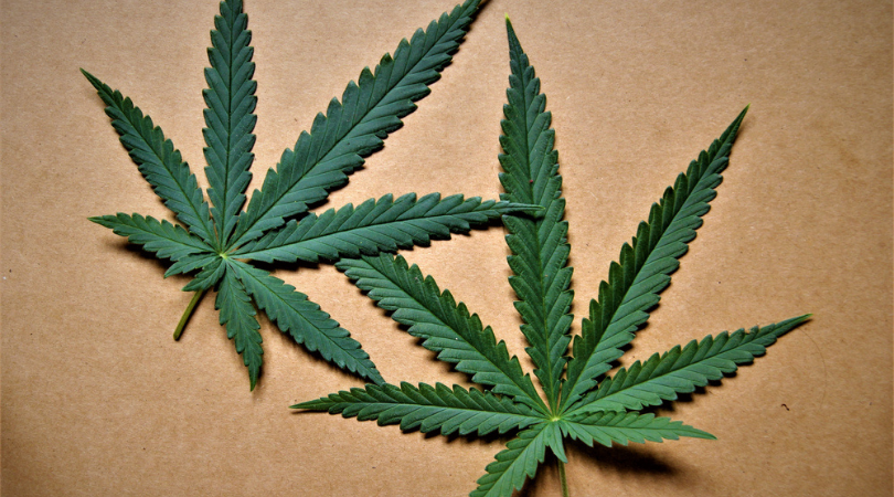 Is Dabbing Better for You Than Smoking