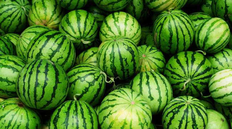 Smoking Weed with a Watermelon Bong