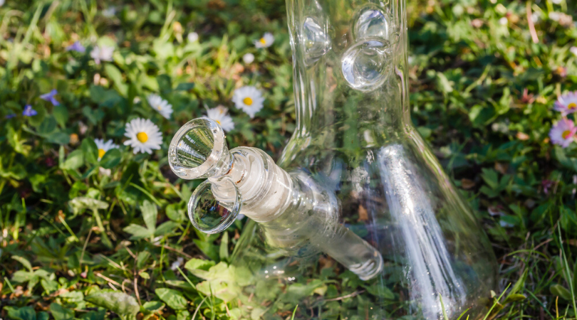 The Best Bong Brands in 2020