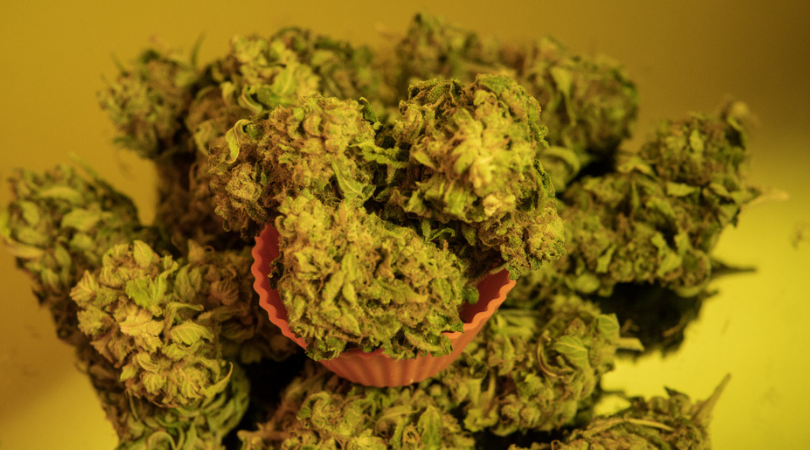 What is Craft Cannabis?