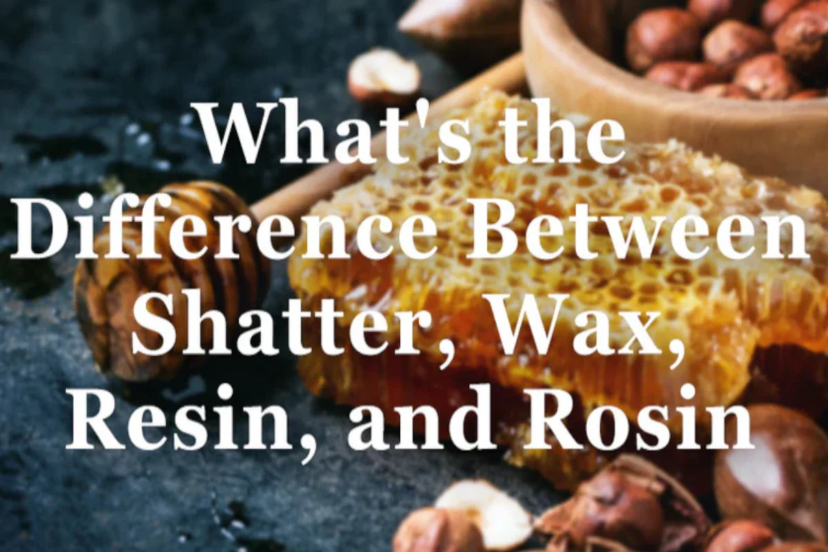 different cannabis concentrates