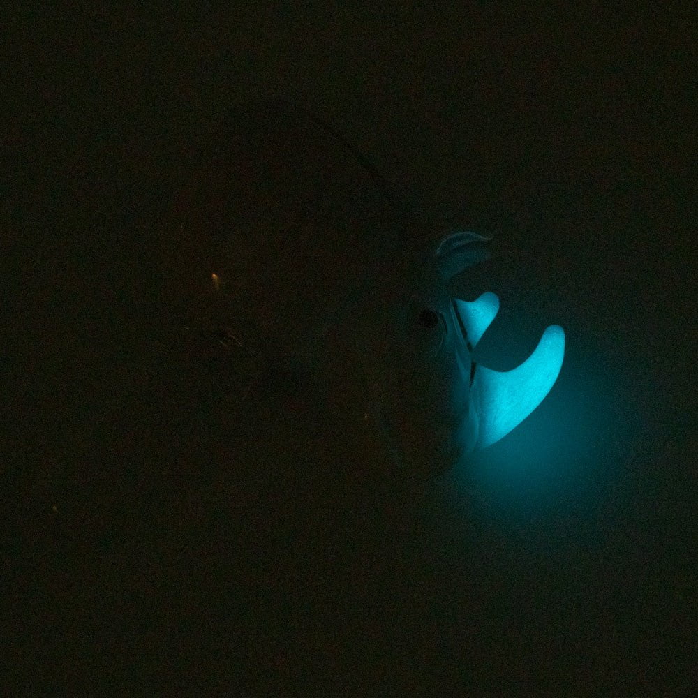 Empire Glassworks Accessories Rhino Bong Bowl