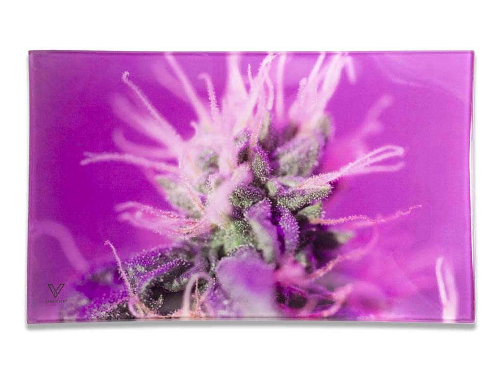 Pink Lemonade Glass Tray Fat Buddha Glass