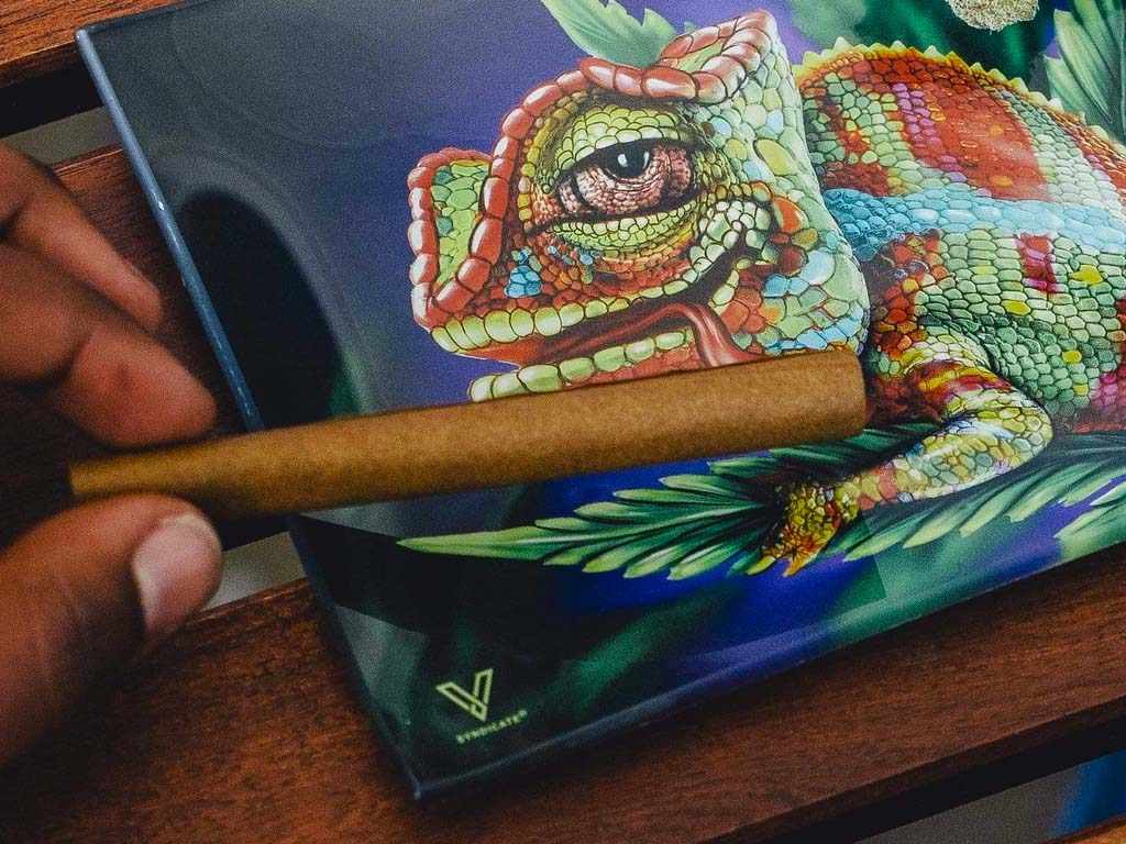 V Syndicate Accessories Medium Glass Tray Cloud 9 Chameleon