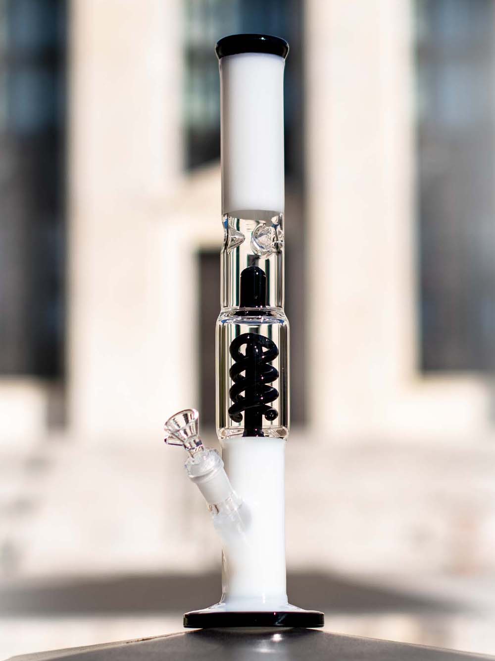 Black White Bong Fat Buddha Glass