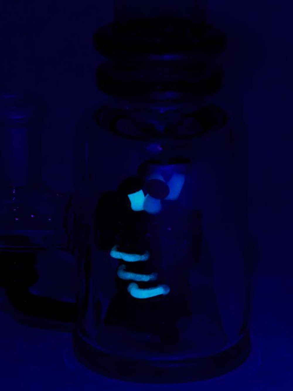 Empire Glassworks Bong Renew The Redwood Mini Bong