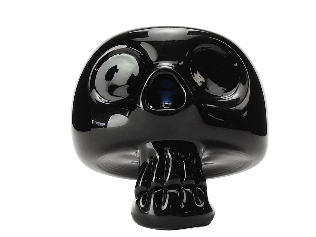 Chameleon Glass Bonehead Pipe Fat Buddha Glass