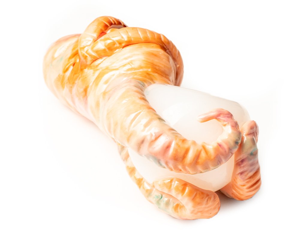 Tentaclops Glass Pipe Fat Buddha Glass