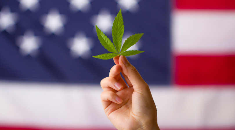 15 States with Legalized Marijuana in 2020