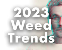 Top Weed Trends of 2023