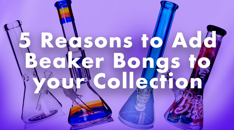 5 Reasons to Add Beaker Bongs to your Collection