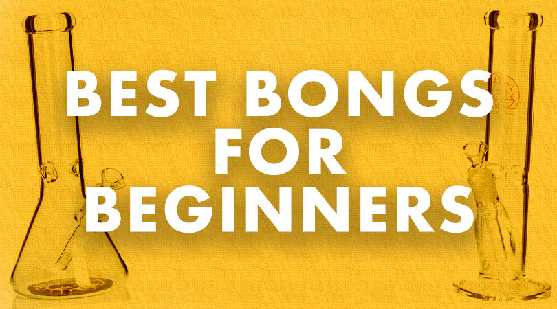 Best Bongs for Beginners