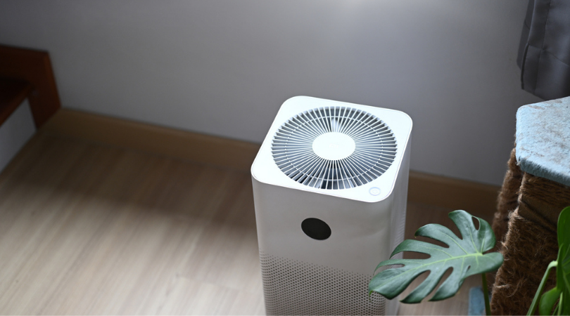 Best Air Purifiers for Weed Smoke