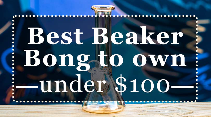 Best Beaker Bongs to Own Under $100