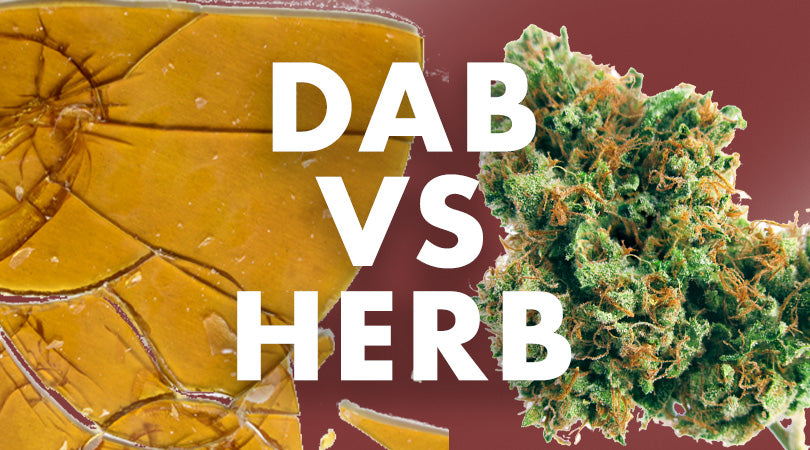 DABS VS HERB – WHAT’S THE DIFFERENCE?