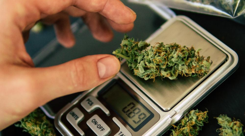 How to Measure Weed Without a Scale