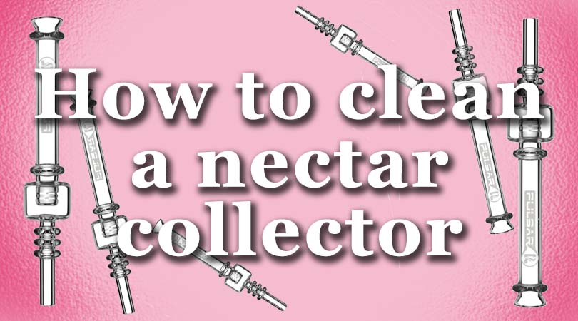 Best ways to clean a nectar collector