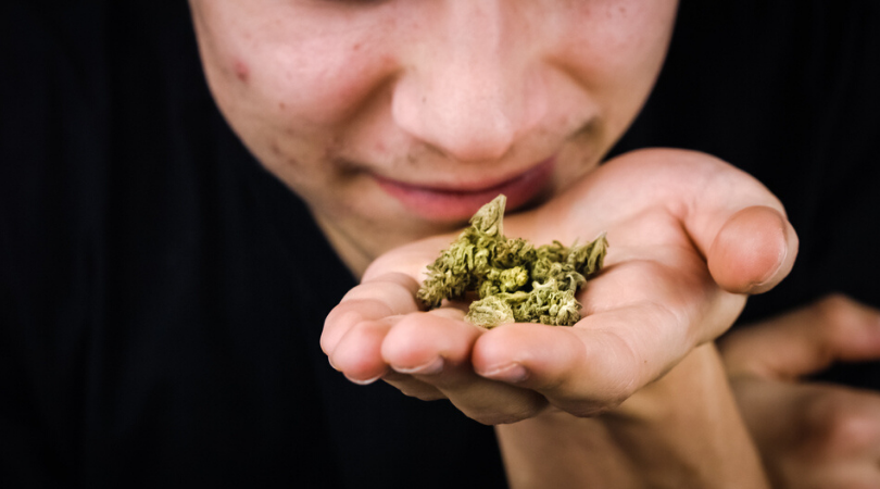 Life Hacks To Get The Smell of Weed Out of Everything
