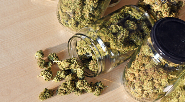 Marijuana Storage: The Ultimate Cannabis Storing Guide