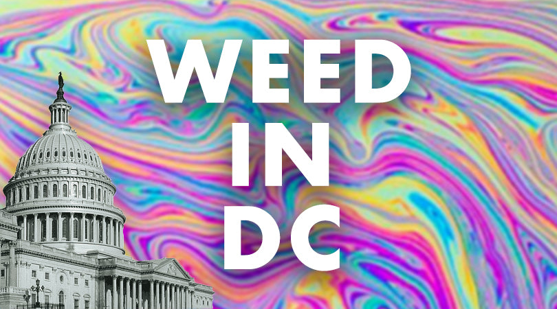 How to Find Weed in Washington D.C.