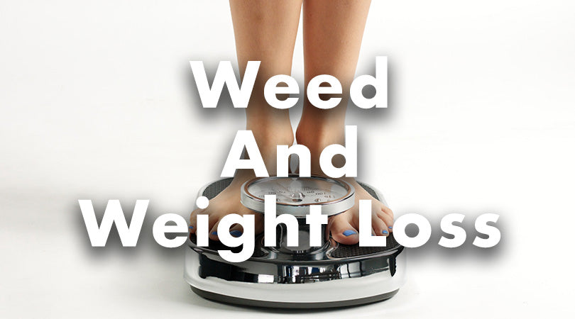 Marijuana and Weight Loss