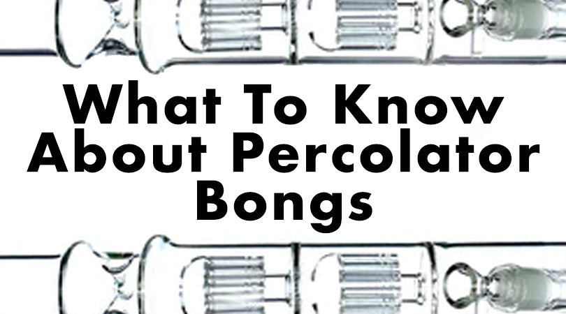 Everything You Need to Know About Percolator Bongs