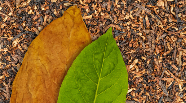 The Difference Between Pipe Tobacco & Cigarette Tobacco