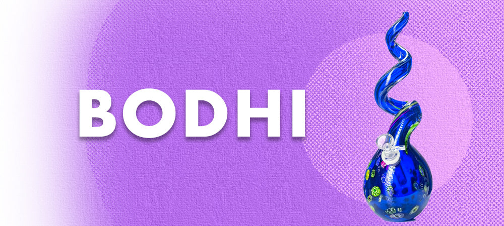 Bodhi bongs