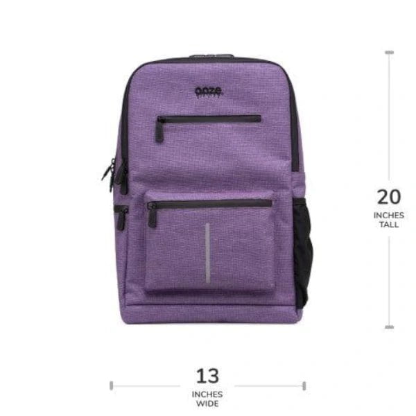 Cali Bags Accessories Purple Smell Proof Backpack