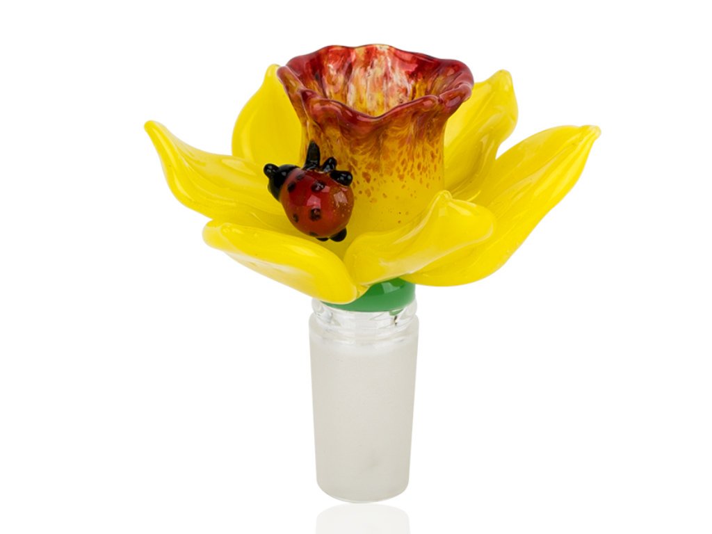 Daffodil Bowl Fat Buddha Glass