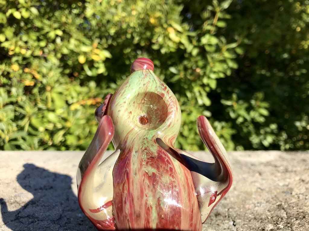 Fat Buddha Glass Pipe Polly the Parrot Pipe